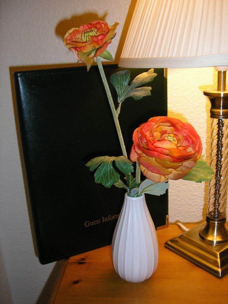 The Robertson Arms Hotel Carnwath Eksteriør bilde
