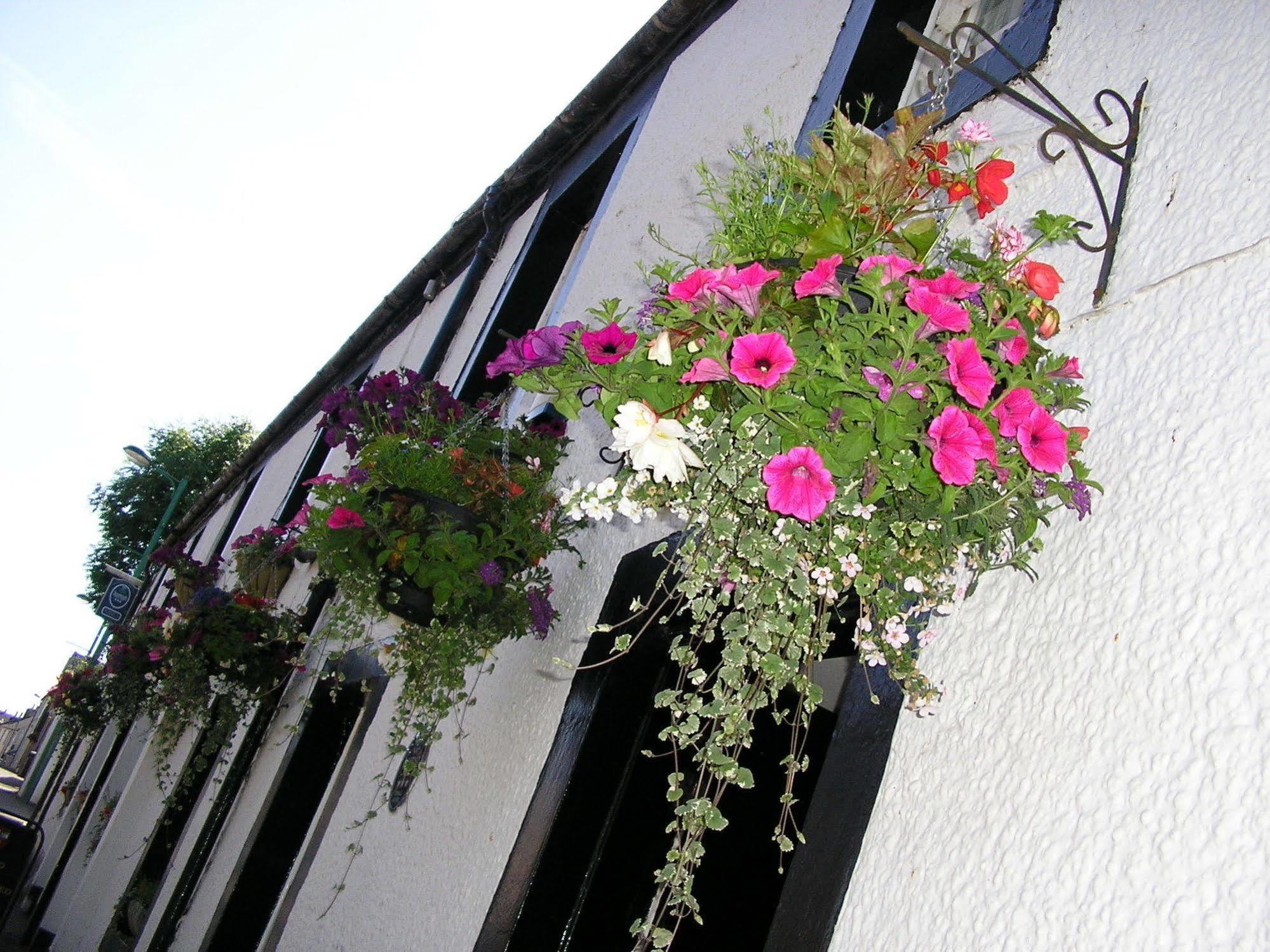 The Robertson Arms Hotel Carnwath Eksteriør bilde